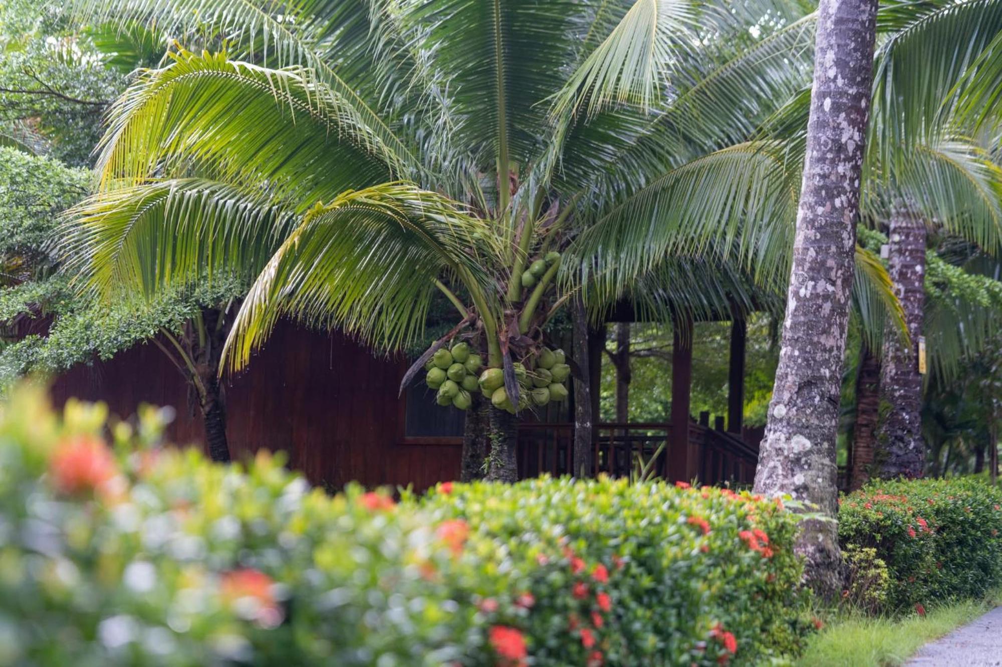 Mafiya Resort Thansour beach Exterior foto